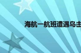 海航一航班遭遇鳥擊返航，目前已安全降落