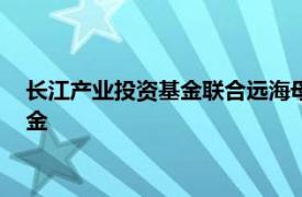 長江產業投資基金聯合遠海母基金共同設立100億元綠水零碳基金