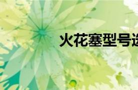 火花塞型號選擇與更換指南