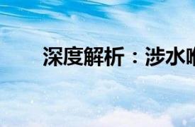深度解析：涉水喉技術及其應用前景