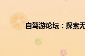 自駕游論壇：探索無限風光，分享精彩旅程
