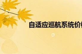 自適應巡航系統價格解析：一套多少錢？