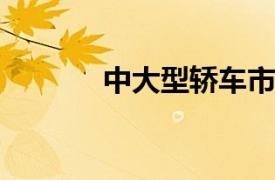 中大型轎車市場深度研究報告