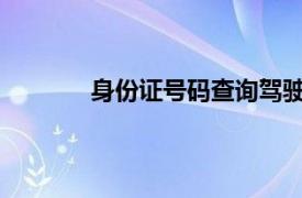 身份證號碼查詢駕駛證信息及認證過程解析