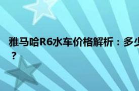 雅馬哈R6水車價格解析：多少錢才能擁有這款熱門水上運動裝備？