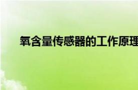 氧含量傳感器的工作原理及其在現代科技領域的應用