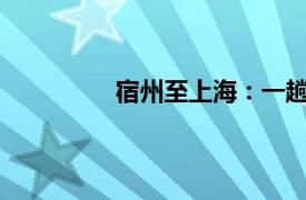 宿州至上海：一趟深度探尋的旅程攻略