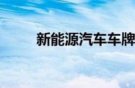 新能源汽車車牌的未來趨勢與挑戰(zhàn)