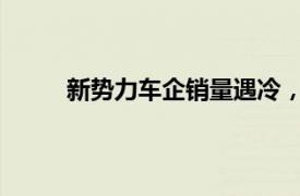 新勢力車企銷量遇冷，行業(yè)寒冬中的挑戰(zhàn)與機(jī)遇