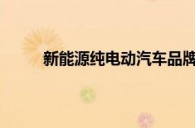 新能源純電動汽車品牌：創(chuàng)新科技引領(lǐng)未來出行