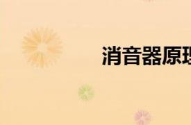 消音器原理結(jié)構(gòu)圖詳解