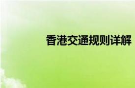 香港交通規則詳解：安全駕駛的必備知識