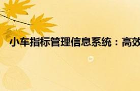 小車指標(biāo)管理信息系統(tǒng)：高效管理車輛指標(biāo)，助力交通智能化