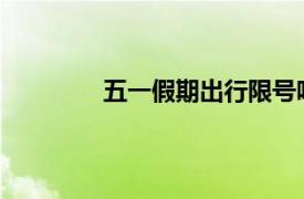 五一假期出行限號嗎？最新交通政策解讀