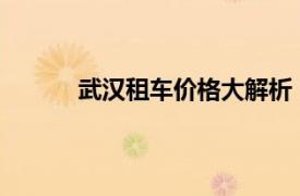 武漢租車價格大解析：從車型到費用全面解讀