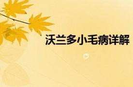 沃蘭多小毛病詳解：真實反饋與深度解析